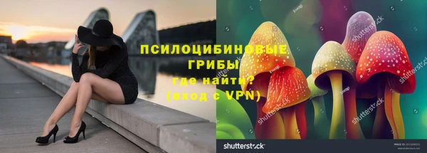 дживик Алзамай