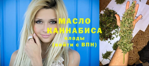 индика Рославль
