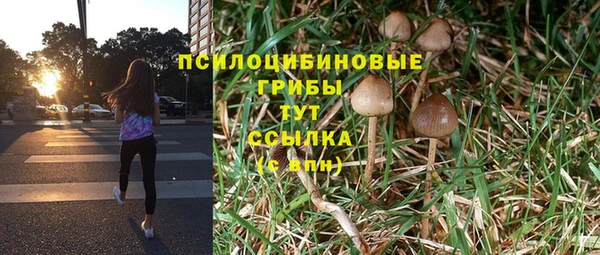 каннабис Алексеевка