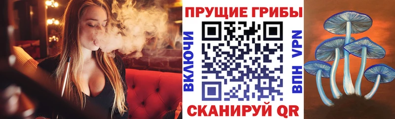 это формула  Зеленоградск  MEGA как зайти  Галлюциногенные грибы мицелий  купить наркоту 