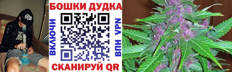 Шишки марихуана семена  Зеленоградск 